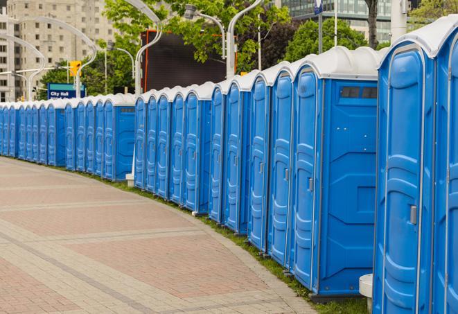 Seasonal portable toilet rental setup